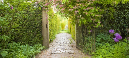 26 June 2018: Visit to Stockton Bury Gardens