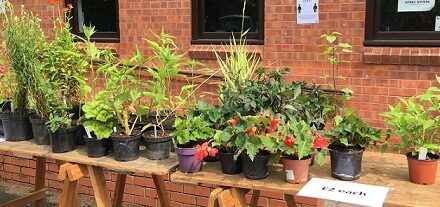 22 May 2022: Plant Sale