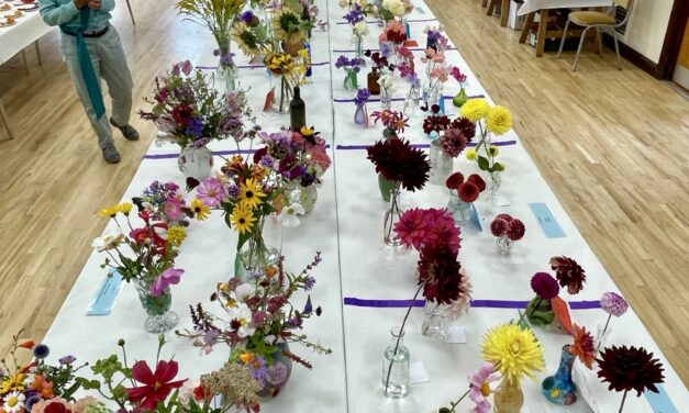 15 August 2026 – 45th Annual Show