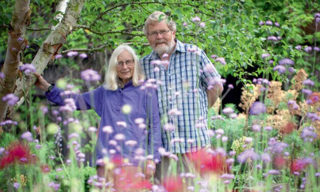 Tuesday 30 June 2026 Alun and Jill Whitehead