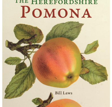 Tuesday 29 September 2026 Bill Laws