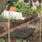 Newsletter – March 2026