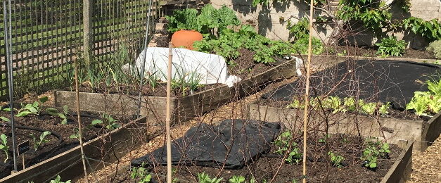 Tuesday 31 March 2026 Marion Stainton