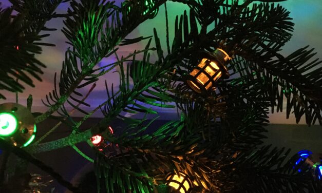 Tuesday 8 December 2026