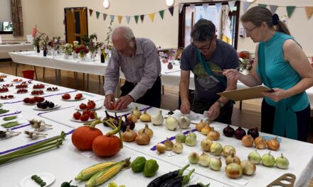 Annual Show Results 2026