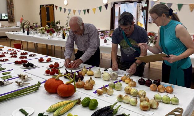 Annual Show Results 2026
